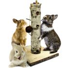 JR Small Animal Active-Tree