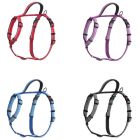 Arnés para perros Halti