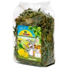Diente de león para roedores de JR Farm